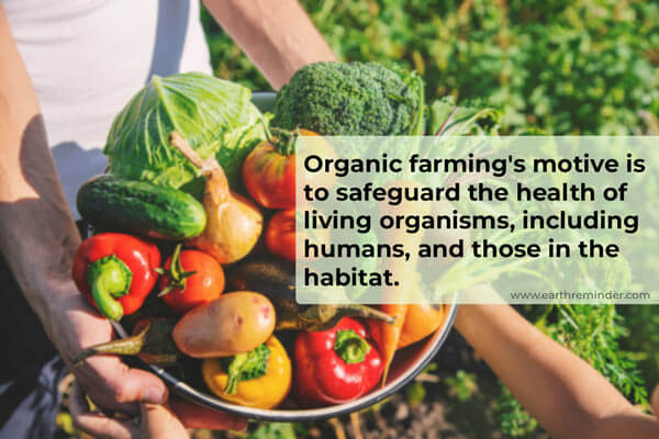 ORGANIC FARMING