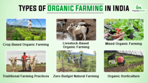 Types Of Organic Farming