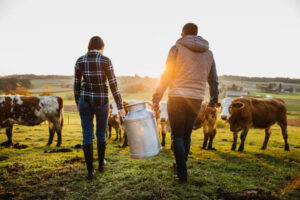 Young female and male farmer carrying milk canister at dairy farm. Credit image istock photo