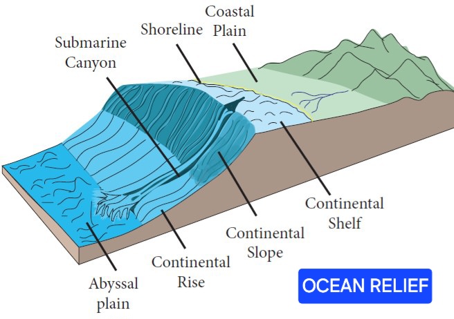 Ocean Relief: Understanding the Underwater Landscape