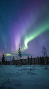 Aurora Borealis And Aurora Australis over a snow-covered forest.